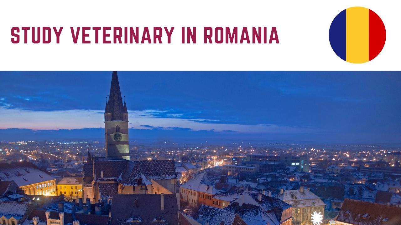 לימודי וטרינריה ברומניה